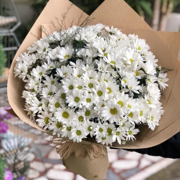  Antalya Lara Çiçekçiler Papatya Kır Buketi