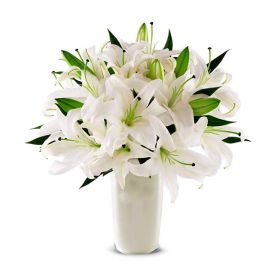 Antalya Lara Çiçekci  Vazoda Beyaz Lilyumlar