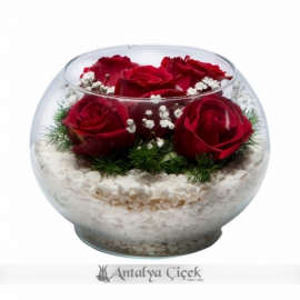 Antalya Lara Çiçekçi Cam Fanusta Kırmızı Güller