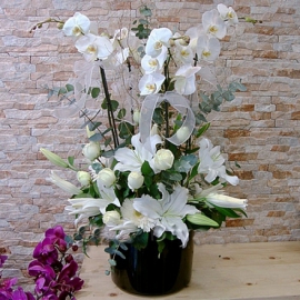  Antalya Lara Çiçek Siparişi Siyah Kutuda Beyaz Orkide Kazabilanka Beyaz Gül Arajman